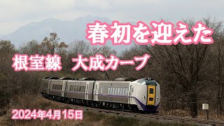 春初を迎えた芽室―大成間、走る列車達　2023年4月15日（特急おおぞら・特急とかち・Decmo・DF200）