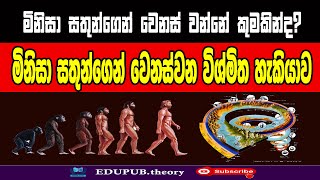 මිනිසා සතුන්ගෙන් වෙනස්වන විශ්මිත හැකියාව - ශ්‍රමය  (ශ්‍රමය වැගිරවීමේ හැකියාව)