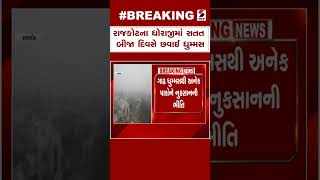 Rajkot News | રાજકોટના ધોરાજીમાં સતત બીજા દિવસે છવાઈ ધુમ્મસ | Dhoraji | Weather Update