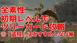 【エルデンリング】全素性初期レベルでツリーガード攻略解説③盗賊編