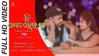 Tu Megha Heija | Human Sagar | Asima Panda | Official Odia Music Video 2020 | Raja D | Sailendra