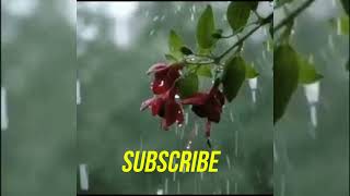 Rim Jhim Monsoon Special Rain Song