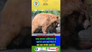 Bear के बारे में रोचक तथ्य 🐻😨| #ytshort #viral #fact #animals #trending #shortfeed