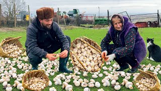 Cooking and Family Life in an Azerbaijan Caucasian Village Far from Civilization