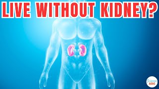 Can You Live Without A Kidney?