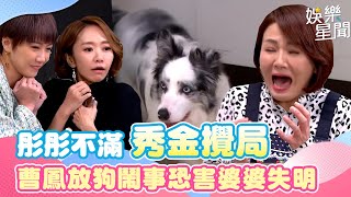 一家團圓EP290／彤彤不滿秀金攪局 曹鳳放狗鬧事恐害婆婆失明｜Family Reunion｜三立娛樂星聞