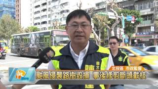 20151007 颱風侵襲路樹毀損 事後修剪斷頭截枝 (凱擘大台北數位新聞)