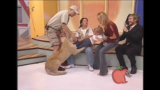 Lion attacks toddler on mexican tv show.