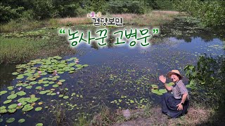 조잘조잘 걷당보민 [농사꾼 고병문 삼춘] KBS제주 240813방송