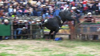 TOROS ESTRELLAS DEL SUR DE RESELIO GARCIA!! JARIPEO EN AROCUTIN MICHOACAN 26 DICIEMBRE 2024