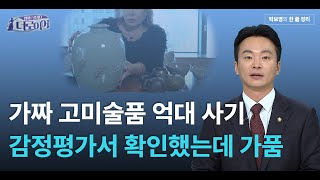 더 로이어 181회 / 가짜 고미술품 억대 사기 감정평가서 확인했는데 가품