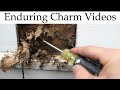 How To Spot The Rot And Make The Repair