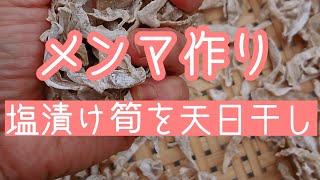 メンマ作り  塩漬けした筍を天日干し！