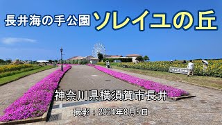 長井海の手公園 ソレイユの丘 = [4K] Soleil Hill in Nagai Uminote Park