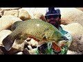 Murray Cod Fishing, Walking Limstones part1