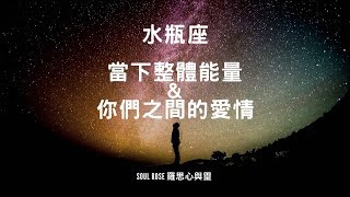 🌹星座塔羅：水瓶座 - 未來彼此將給予承諾，先提升自己，做好相愛那刻的準備  🌹 （當下整體能量，不限時間）