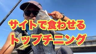 ［第77投目］サイトで食わせろ！トップチニング