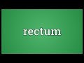 Rectum Meaning