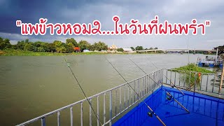 EP.12 แพข้าวหอม2 ในวันที่ฝนพรำ | E22Fishing