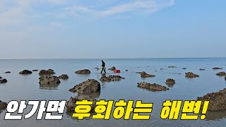 소라 쭈꾸미 갑오징어를 줍기만 하면 되는 해수욕장이 있다고? +먹방