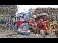 Belarus Tractors pulling || Punjab Village Tractors video