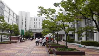 椙山女学園大学　Sugiyama Jogakuen University