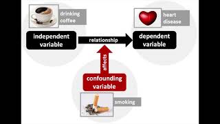 Confounding bias vs effect modification