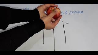 Median Sagittal Plane explained in 2 minutes