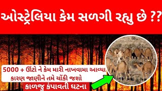 ઓસ્ટ્રેલિયા ની કાળજું કંપાવતી ઘટના - ઊંટો વિષેનો ચોંકાવનારો ખુલાસો Australia News | Australia Camels