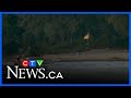E. coli closes many Canadian beaches
