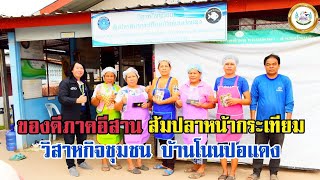 สยามไทยแลนด์ นิวส์ สื่อออนไลน์