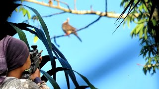 WOW‼️ KETEMU SPOT BURUNG TERKUKUR PALING BANYAK