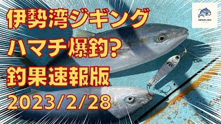 伊勢湾ジギング　2023/2/28　釣果速報　ハマチ爆釣？