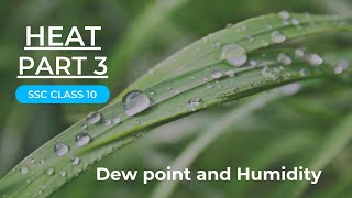 HEAT | Lecture 3 | Dew point and Humidity | Class 10 SSC |Maharashtra state board| Eduvisors