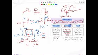 كيمياء التحصيلي يلو 2025 | التأسيس | الكيمياء الحيوية