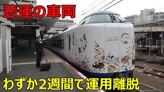 【悲運の新型車両】271系特急「はるか」に乗ってきた