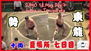 勢-東龍/大相撲2019 夏場所 7日目