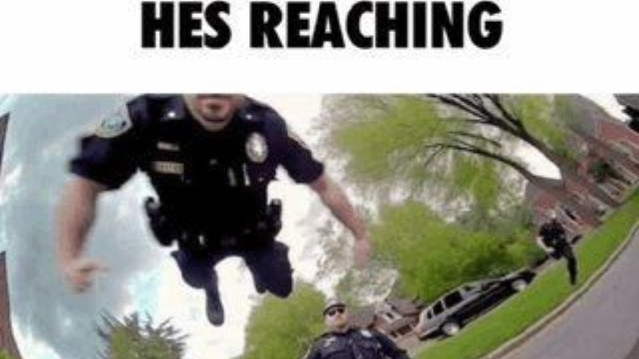 Random Memes I Permanently Borrowed Pt 837 Youtube