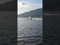 Video shows grey whale struck by Jet Ski in Vancouver