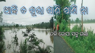 ଆଜିର ବର୍ଷା ରେ ପାଣି ପାଣି ହେଇଛେ 😂😂aaj to pani pani go gaya @sanjibkumarodiavlog3359