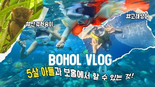 5살 아들과 보홀가면 뭐 할 수 있을까?🌴 | 아이와 함께 보는 고래상어🦈 | 안경원숭이🐵 | 미티리조트 체크인