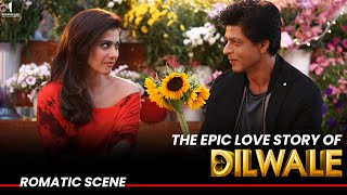 SRK & Kajol's Love Story | Dilwale | Romantic Scenes