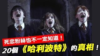 20個「死忠粉絲也不一定知道」的《哈利波特》真相！J.K.羅琳：妙麗就是我！