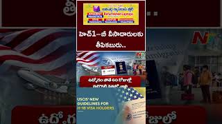 H-1B Visa: ఉద్యోగాలు కోల్పోయిన హెచ్-1బీ వీసాదారులకు గుడ్‌ న్యూస్‌ | Ntv