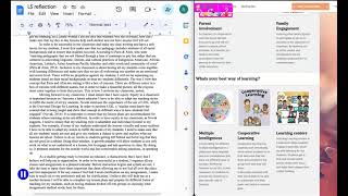 UDL reflections