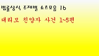 법률상식 주제별 쇼츠모음 16 - 대리모 친양자 사건 1~5편