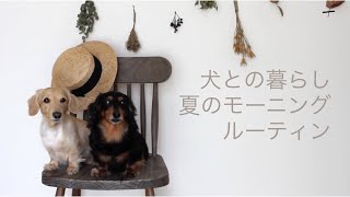 乳腺腫瘍で腹巻生活/ シニア犬多頭飼いの日常