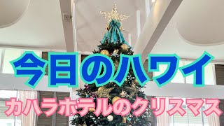 【今日のハワイ】Hawaii Today カハラHotelのクリスマス