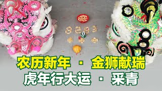 【2022农历新年】金狮献瑞 · 虎年行大运 · 採青