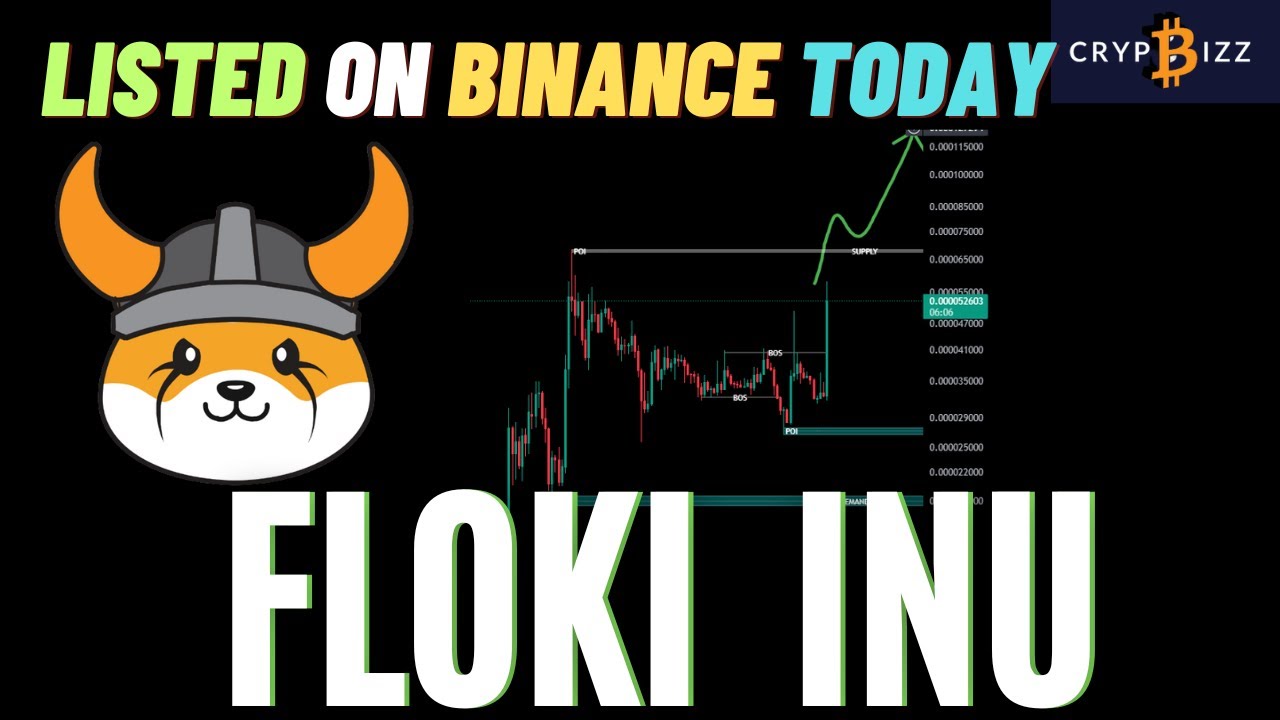 🦊 Floki Inu LISTED ON BINANCE! Price News Today - Floki Crypto Price ...